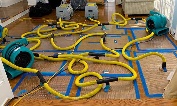 Professional Flood Damage Restoration technician working in Frontenac, KS